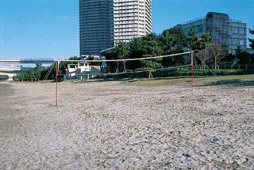 TOEI LIGHT(トーエイライト) ビーチバレーレジャータイプ B-3034 (約)全長3m(埋込部60cm)、ネット高さ1.66・2.4m(2段階調節)×幅9.1m、ネットサイズ92cm×9.2m