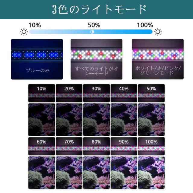 SEAOURA 水槽ライト 熱帯魚ライト 水槽用LEDライト アクアリウムライト 水槽照明 3つモード 五色 10段階の明るさ調整可能 6H/10H/12Hタイマー 自動オン/オフ 伸縮自在 5列LED水槽用ライト 白／赤／ピンク／緑LED付 水草、熱帯魚の通販は