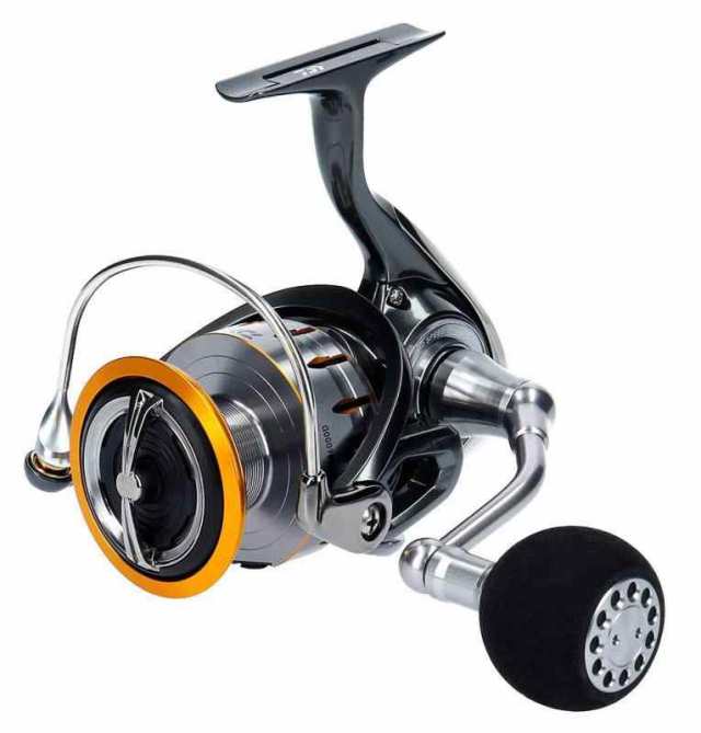 ダイワ(DAIWA) スピニングリール 18 ブラスト LT6000D(2018モデル)