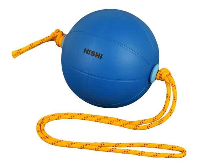 NISHI(ニシ・スポーツ) スウィングメディシンボール 4kg T591
