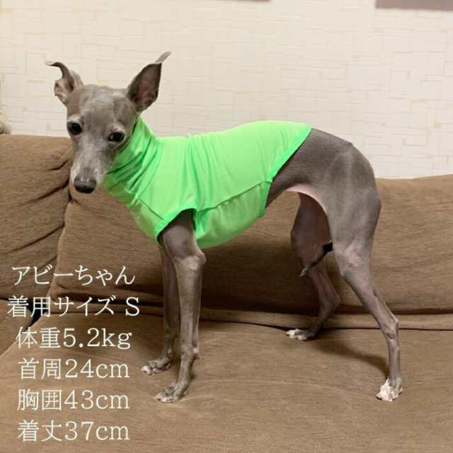 イタグレ服 イタリアングレーハウンド 犬 服 防寒 秋 冬 フリース