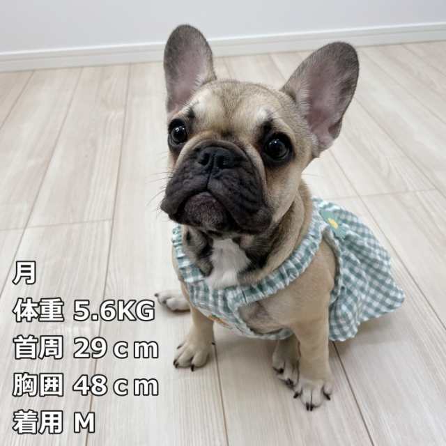 300円クーポン付き】犬服 春 夏 ワンピース フレンチブルドッグ 服 中型犬 小型犬 スカート ワンピース フリル 犬 ドッグウェア 犬服  の通販はau PAY マーケット BEST WEAR au PAY マーケット－通販サイト