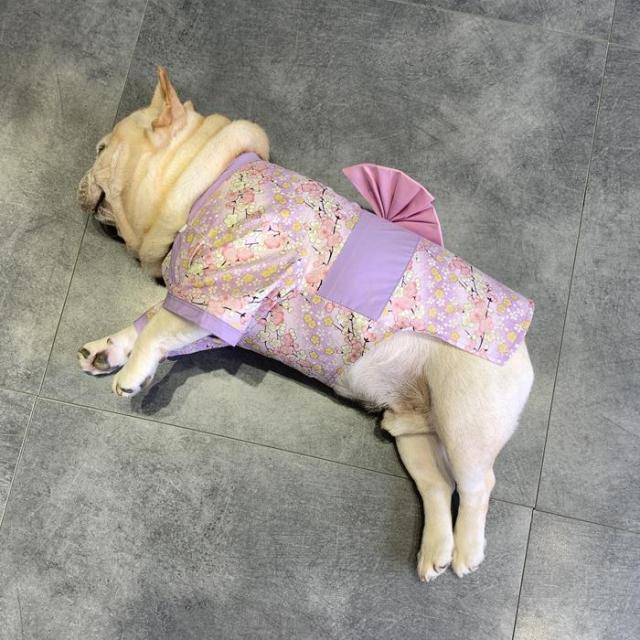 300円クーポン付き】フレンチブルドック服 犬 着物 浴衣 晴れ着 袴