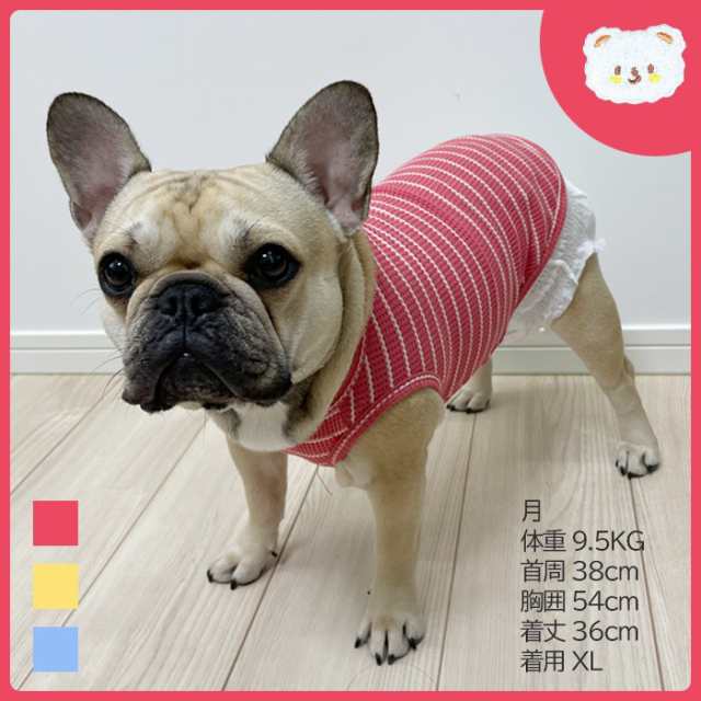 300円クーポン付き】犬 タンクトップ 1000円ぽっきり クマ ワッペン