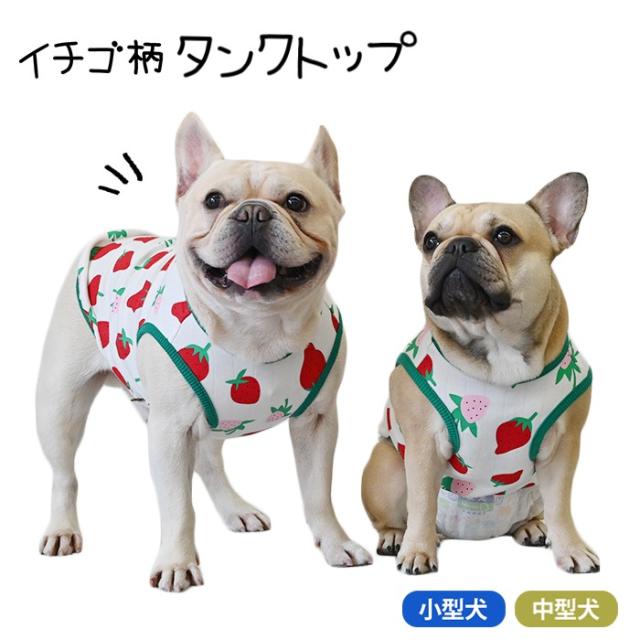 300円クーポン付き】 イチゴ柄 犬服 タンクトップ 春 かわいい