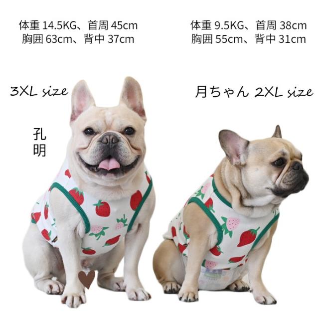 犬服あったかボアタンクトップイチゴ　見本 犬服あったかボアタンクトップイチゴ 見本