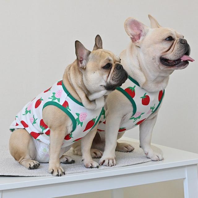犬服あったかボアタンクトップイチゴ　見本 犬服あったかボアタンクトップイチゴ 見本
