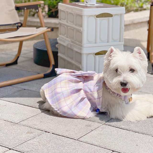 300円クーポン付き】 犬服 春 夏 秋 ワンピース スカート 柴犬