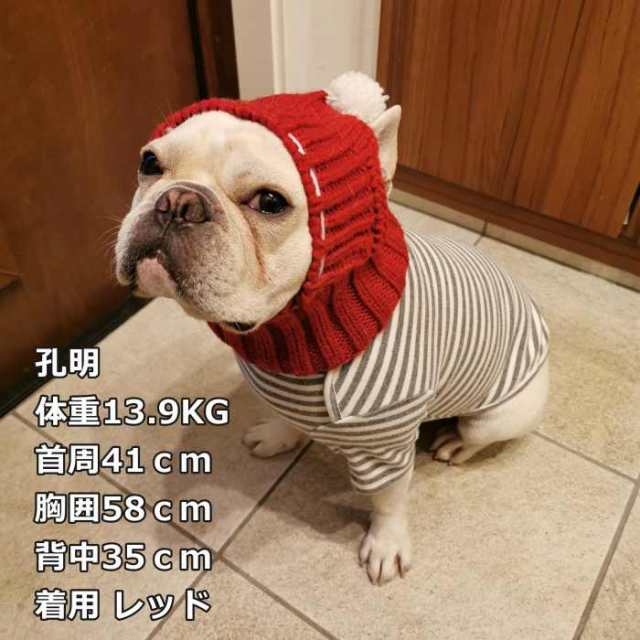 300円クーポン付き】犬 ニット帽 秋冬 ペット帽子 防寒 ファッション