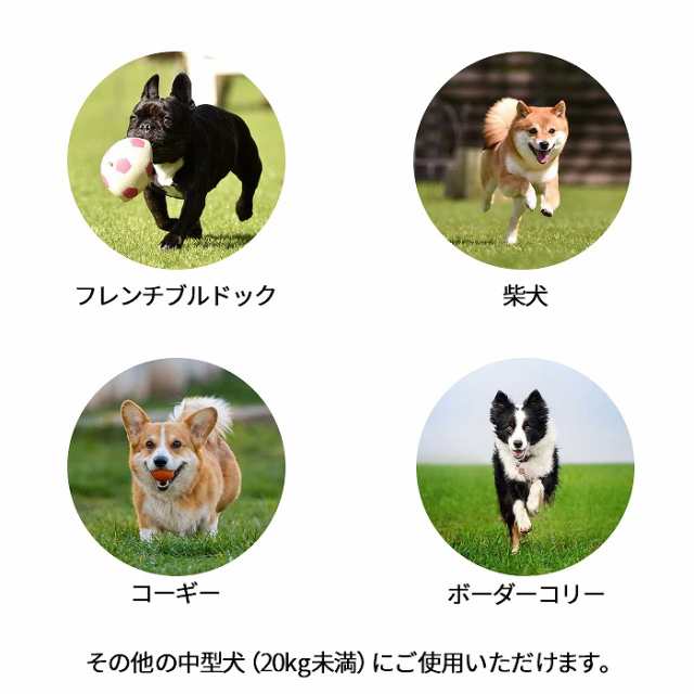 300円クーポン付き】 犬 伸縮リード フレキシ リード ニュー