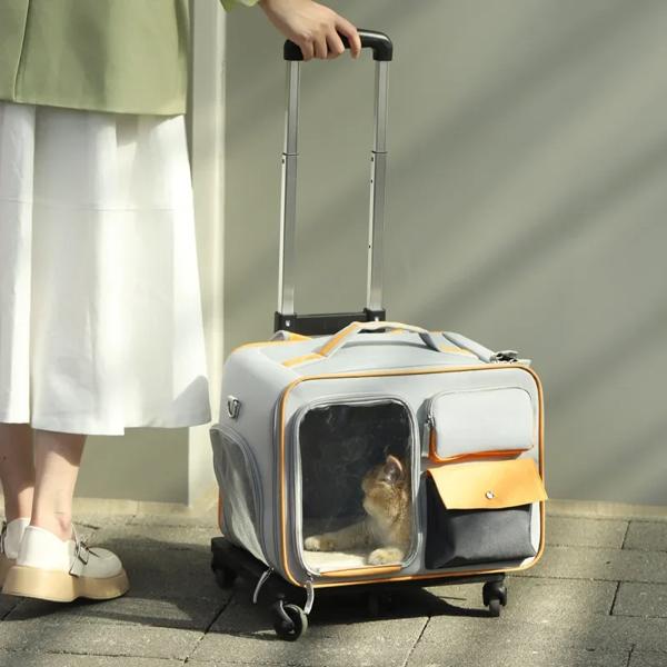 小型の犬と猫のための携帯電話ケース付きのペットは,旅行スペースに使用でき,高い外観を与えます_2