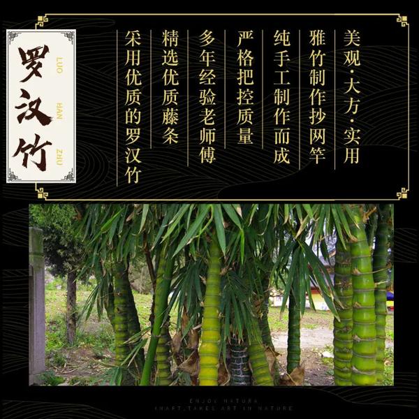 ルオハン-競争力のある釣り竿ホルダー,天然の竹サポート,ステンレス鋼