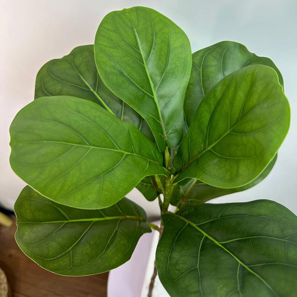 人工ficus樹木枝、大きなカニアンの葉、偽のゴム植物、高さプラスチック、家の庭の装飾のための風景、70 135cm