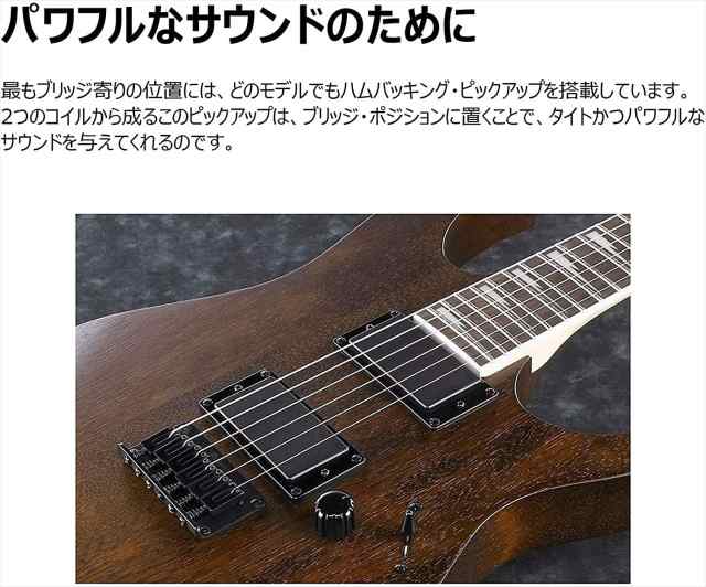 Ibanez GIO ジオアイバニーズ エレキギター GRX40 ソフトケース