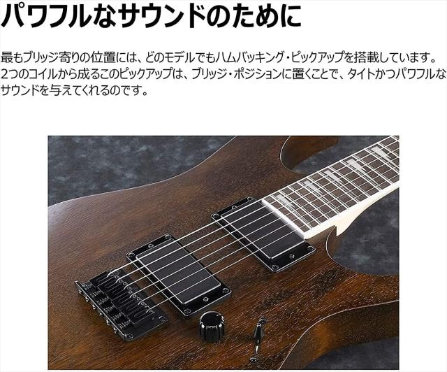 GIO Ibanez 初心者向けエレキギター (メタリック・グレイ・サン