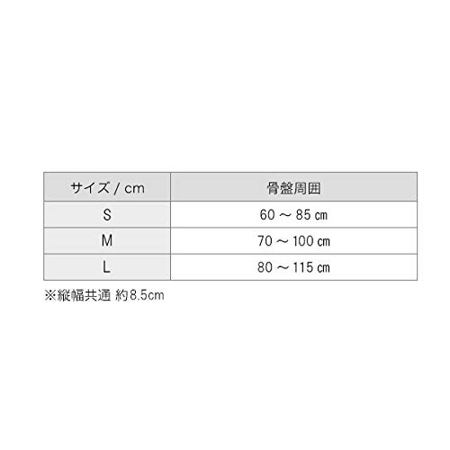 phiten(ファイテン) サポーター メタックス 骨盤用 ハードタイプ Sの通販は