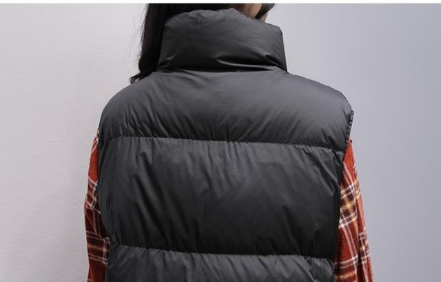 アウター ダウンベスト ハイネック スタンドカラー レディース きれい