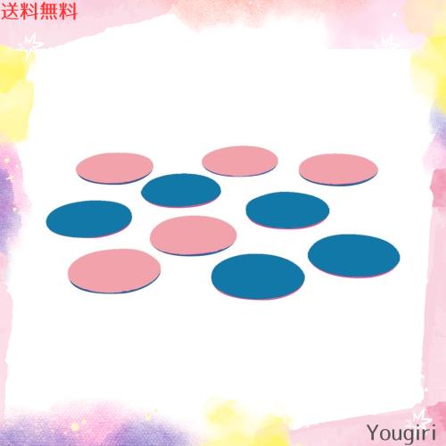 エバニュー(EVERNEW) 屋内スポーツリバーシ 10枚組 ETE092 直径23cm×厚さ1cmの通販は