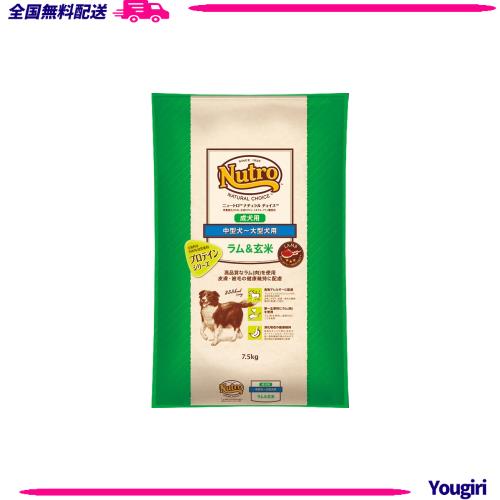 Nutro ラム&玄米 中型犬〜大型犬用 14kg ニュートロ ナチュラルチョイス ラム&玄米 14kg 中型犬〜大型犬用