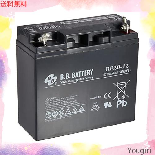ダイワ(DAIWA) タフバッテリー20000C 全魚種対応 070102の通販は