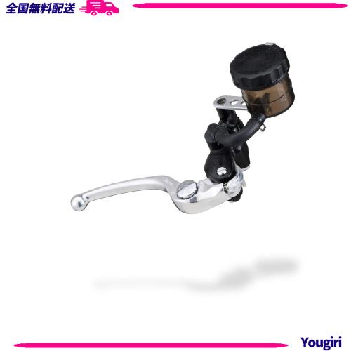 デイトナ(Daytona) NISSIN(ニッシン) バイク用 ラジアル ブレーキマスターシリンダー 縦型 φ19 (横型 5/8インチ相当) ブラックボディ/バ