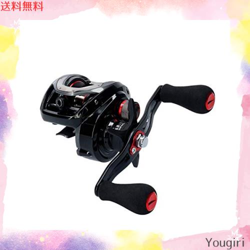 ダイワ(DAIWA) フネ X 100HL 両軸リール