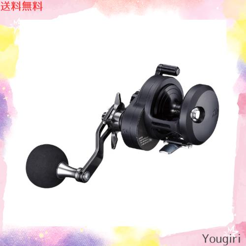 ダイワ(DAIWA) ベイトリール 19 キャタリナ 15H(2019モデル)