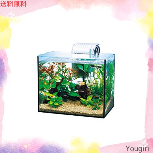 テトラ (Tetra) ガラス 水槽 オールグラスアクアリウム GA-300F