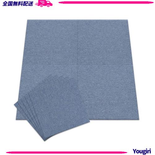 【20個セット】アイリスプラザ タイルカーペット ライトブルー 50×50？ TKP-PP50