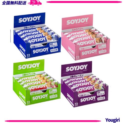 【セット商品】 大塚製薬 ソイジョイ フルーツセット (ブルーベリー/ストロベリー/アップル/レーズン) 30g ×48個