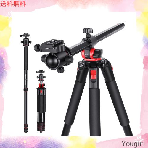 NEEWER 200cm カメラ三脚 一脚 センターコラム、ボールヘッド、ArcaタイプQR プレート、ケース付き 水平三脚 オーバーヘッドカメラマウン