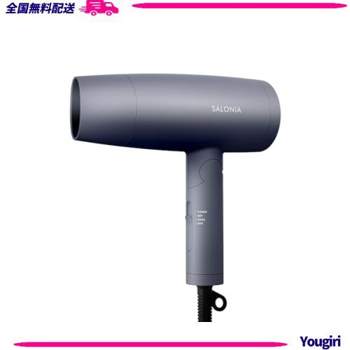 SALONIA サロニア スピーディーイオン ドライヤー 大風量 速乾 軽量 マイナスイオン ヘアドライヤー SL-013GR グレーの通販は