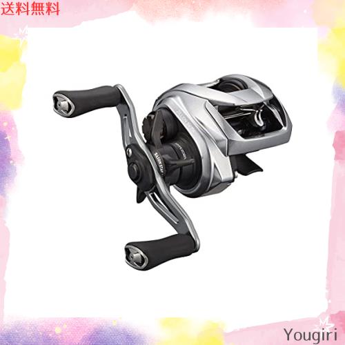 ZILLION SV TW 1000HL ベイトリール　ダイワ　ジリオン ダイワ ベイトリール ジリオン SV TW 1000HL 2021年モデル (左巻