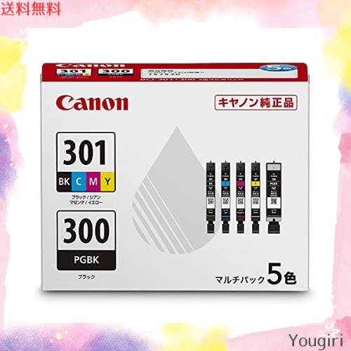 キヤノン BCI-301+300/5MP 小