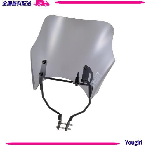 【人気ショップが最安値挑戦！】 デイトナ(Daytona) バイク用 GB350/S(21-23)専用 スクリーン アート・デザイン・音楽