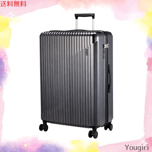 ACE[エース] スーツケース キャリーケース キャリーバッグ 大型 大容量 ｌサイズ 7泊8日 8泊9日 9泊10日 85L キャスターストッパー 双輪