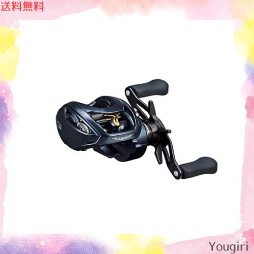 リール STEEZ AII TW 1000HL ダイワ スティーズ A II TW 1000HL (リール) 価格比較 - 価格.com