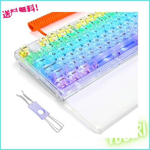 メカニカルキーボード セットKailhクラゲ軸 ホットスワップメ 白雪Bluetooth ワイヤレス 2.4G USB-Cスペースバー 16種バックライト付き の通販は