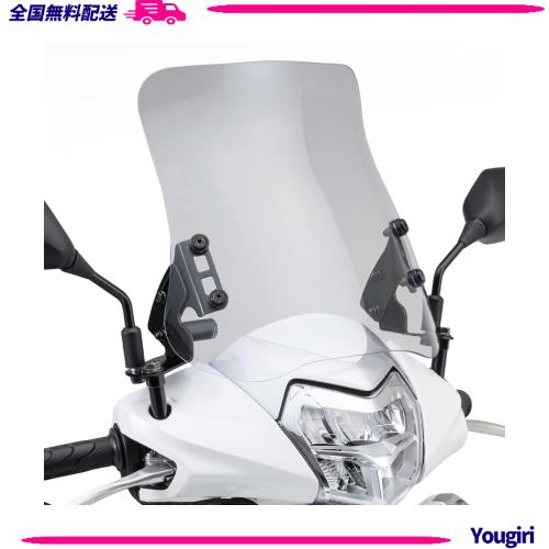 デイトナ(Daytona) バイク用 スクリーン クランプバー付き リード125(13-23)専用 ウインドシールド RSシリーズ ロング クリアー 97920