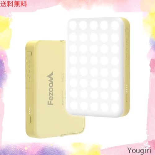 代金引換・個人宅・北海道・沖縄県への配送不可)TOEI LIGHT(トーエイ