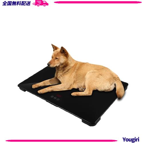 犬用体重計、動物用体重計65?45cm、最大体重100kg、精度10g、黒、犬と猫に適しています、無料の滑り止めマット ペット 体重計 大型ペットスケール ペットくんBIG ≪滑り止めマット＆電池付き≫ ペット用体重計 ペットくん ペット君 100g単位  最大100kgまで 大型犬 中型犬 風袋機能 計量 マット付 大型 デジタル 高齢犬 薄型 大型犬用デジタル体重計レビューで特典送料無料 |  いつもショップ