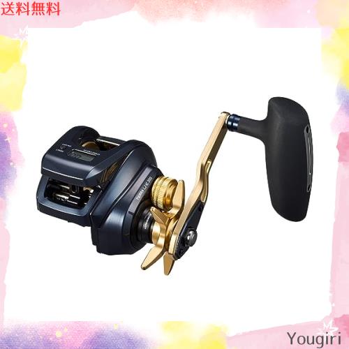 ダイワ(DAIWA) カウンター付きベイトリール TIERRA LJ IC300HL