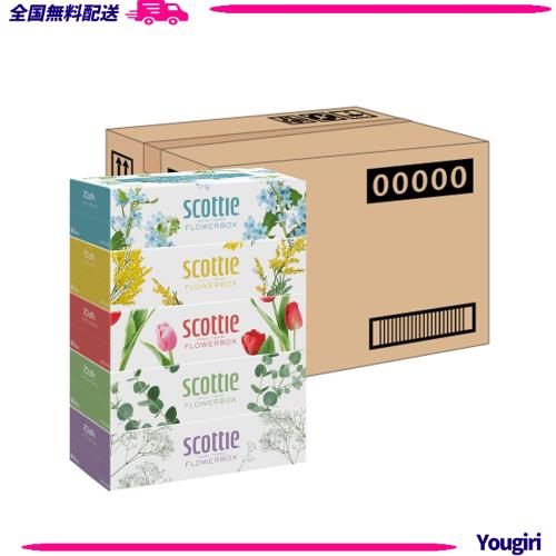【ケース販売】 スコッティ フラワーボックス 長持ちティシュー 500枚(250組) 5箱 ×12入り