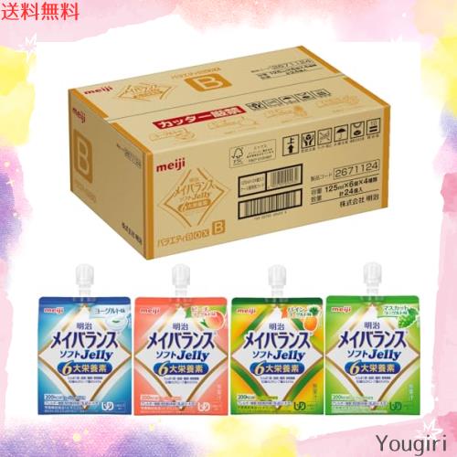 メイバランスソフトゼリー バラエティBOX B 125ml×24(4種×6) 6大栄養素配合 明治の通販は 7,055円
