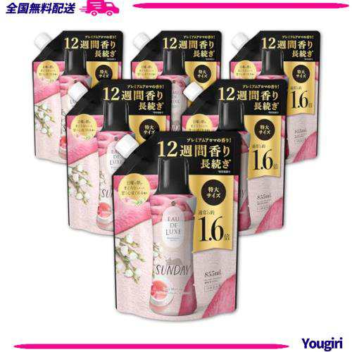 レノア オードリュクス 香り付け専用ビーズ マインドフルネスシリーズ サンデー 詰め替え 855mL×6袋 [ケース品]の通販は