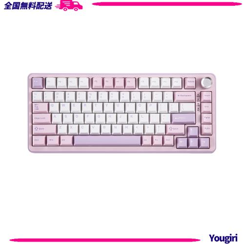 YUNZII B75 PRO 75% ガスケットゲーミングキーボード 無線メカニカルキーボード BT/2.4G/有線 ワイヤレス ホットスワップ 搭載 RGB ノブ