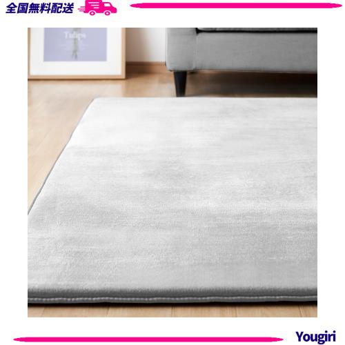 アイリスオーヤマ カーペット ラグ クッションラグ 厚さ3？ 極厚 もっちり 185×240cm 滑り止め付き ホットカーペット対応 2畳 はっ水加