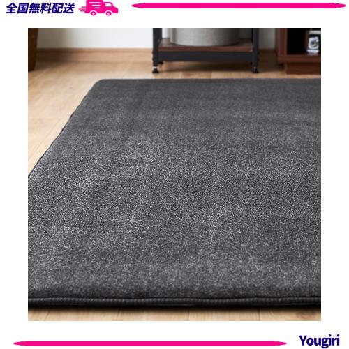 アイリスオーヤマ カーペット ラグ クッションラグ 厚さ3？ 極厚 もっちり 185×240cm 滑り止め付き ホットカーペット対応 2畳 はっ水加