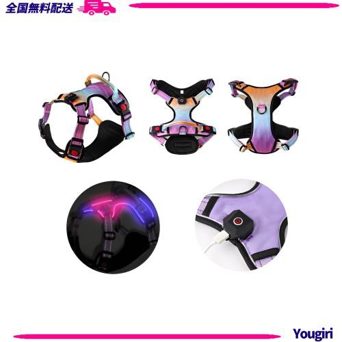 GIIPET-犬 ハーネス 光るハーネス　XLサイズ【2024最新 USB充電式 犬用ハーネス LEDライト付き】犬用胴輪 4点調節可能 装着簡単 夜間反射の通販は