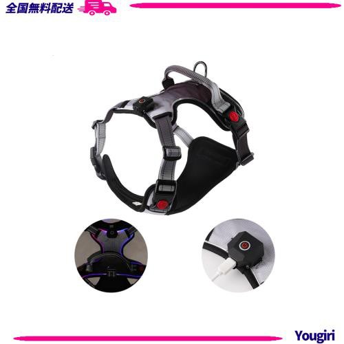 GIIPET-犬 ハーネス 光るハーネス　Mサイズ【2024最新 USB充電式 犬用ハーネス LEDライト付き】犬用胴輪 4点調節可能 装着簡単 夜間反射 の通販は
